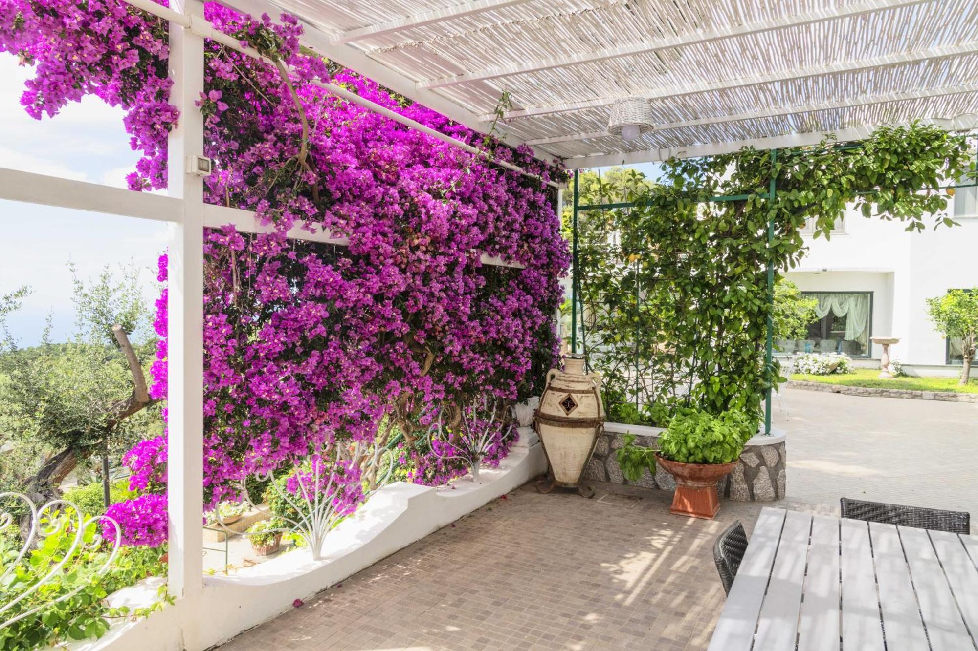 La Canostra Capri - Luxury Room Ad Anacapri Екстериор снимка